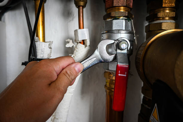 Best Local Plumber Services  in Desoto Lakes, FL